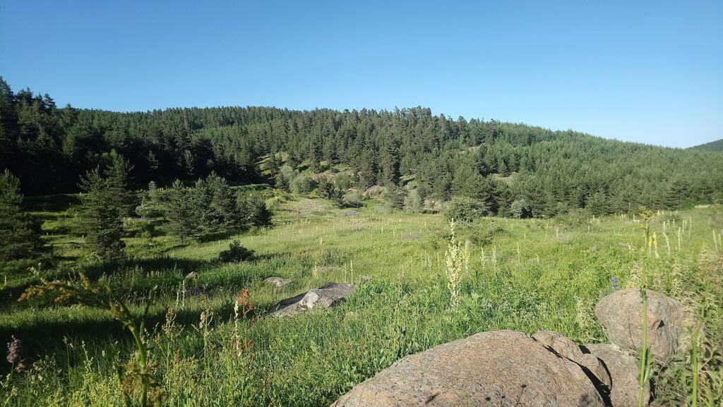Aluçdağı Nature Park (Çamlıdere Plateau)