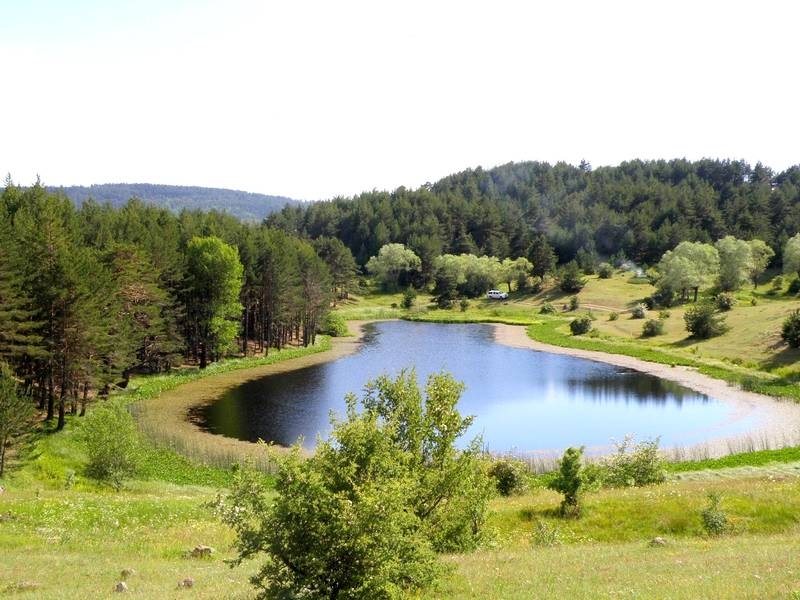 The Most Beautiful Places for Nature Walks in Ankara (2025 Updated Guide)